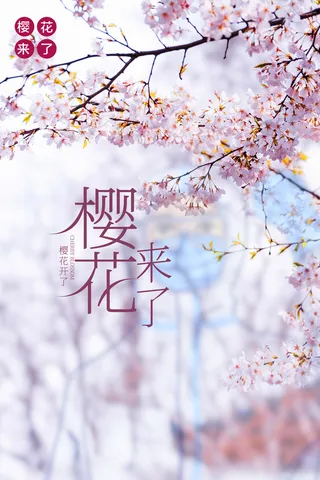 樱花来了樱花开了高清卡通手绘背景