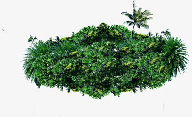 夏日植物树木草堆免抠