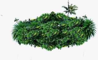 夏日植物树木草堆免抠