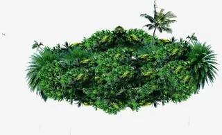 夏日植物树木草堆免抠