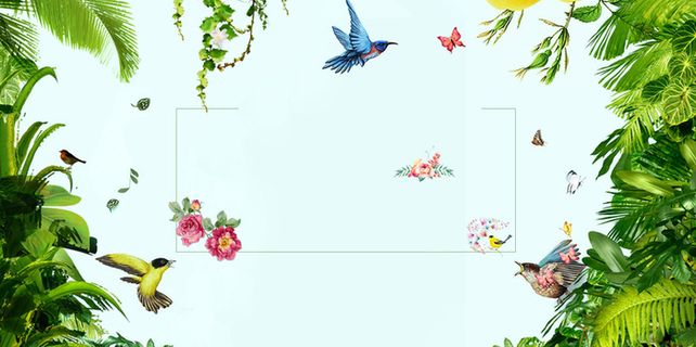 清新自然风光森林促销宣传海报背景素材高清