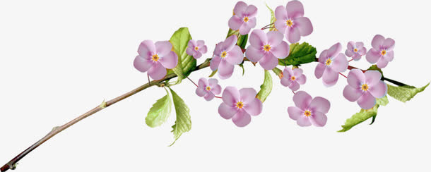 粉色桃花免抠