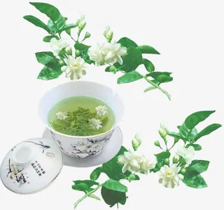 茉莉茶饮免抠
