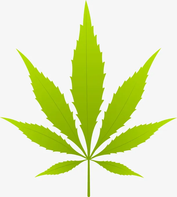 春天卡通树叶免抠