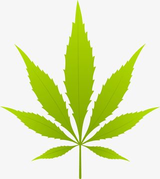 春天卡通树叶免抠