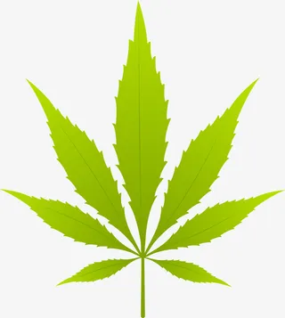 春天卡通树叶免抠