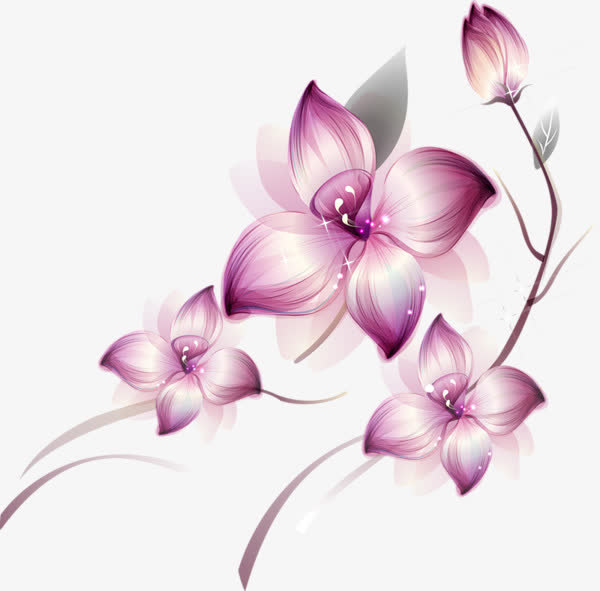 手绘花朵免抠