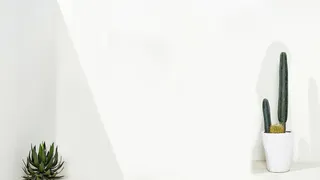 纯色背景绿色植物背景高清素材图片免抠