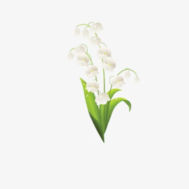 鲜花免抠