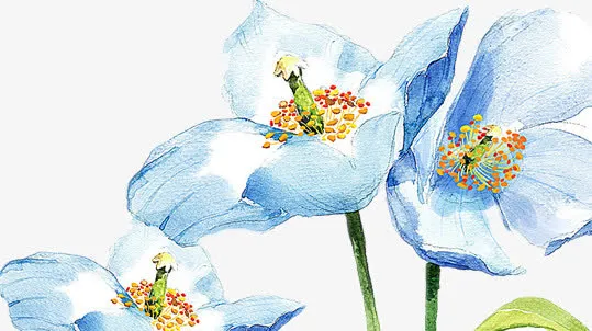 彩色水墨花朵图免抠