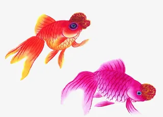 水墨画金鱼免抠