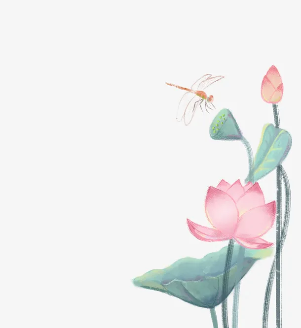 中国风手绘荷叶荷花蜻蜓免抠