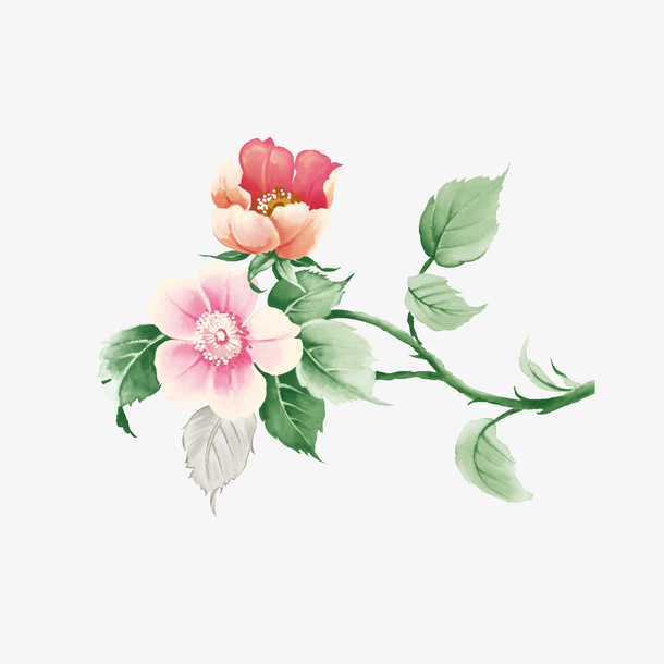 一株粉红彩绘花免抠