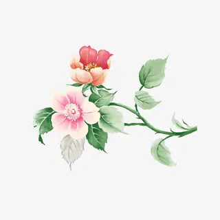 一株粉红彩绘花免抠