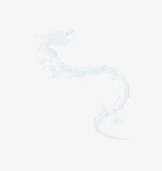 水花 龙纹免抠