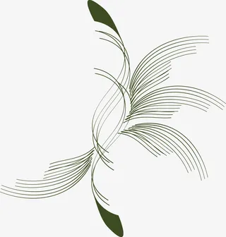 绿色几何线条免抠