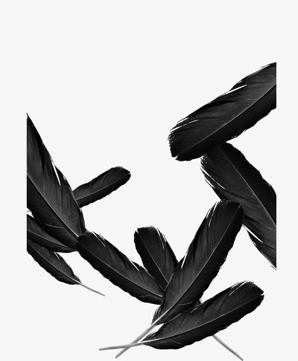 黑色羽毛免抠