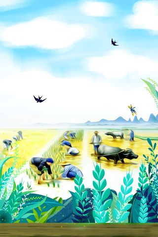 手绘二十四节气芒种海报高清