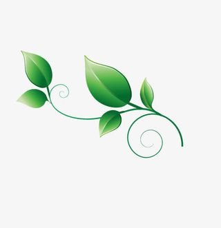 绿色手绘藤蔓装饰图案免抠
