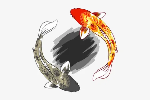 矢量彩色锦鲤免抠