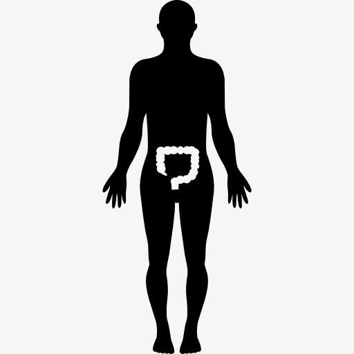 人体的轮廓和突出的大肠图标免抠