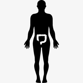 人体的轮廓和突出的大肠图标免抠