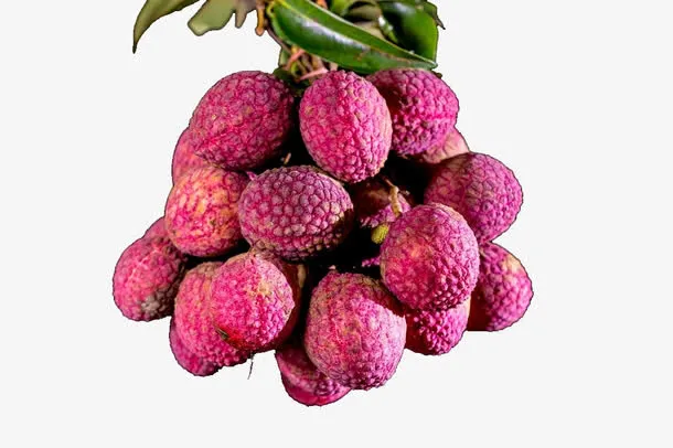 一串荔枝免抠