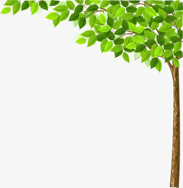 绿色叶子的小树免抠