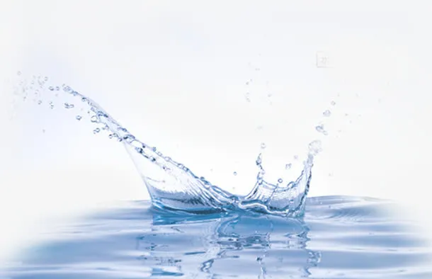 水花专辑免抠