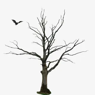 枯树免抠