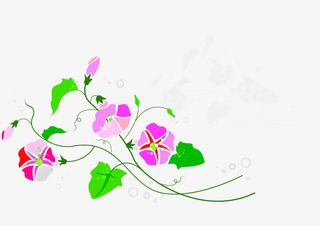 卡通手绘牵牛花免抠