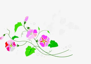 卡通手绘牵牛花免抠