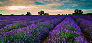 淘宝背景图高清