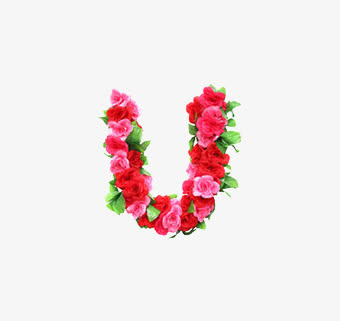 u英文字母花朵免抠