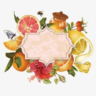 矢量水果创意边框免抠