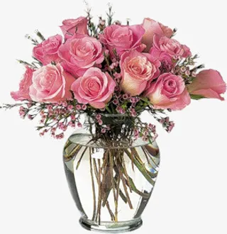 鲜花花草花卉插画免抠