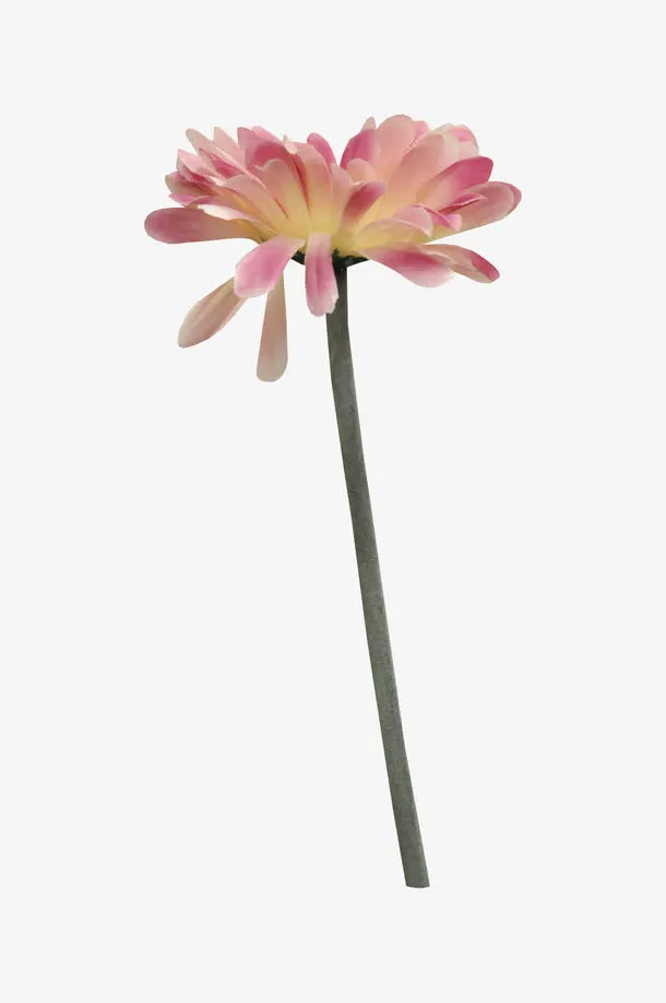 一束鲜花免抠
