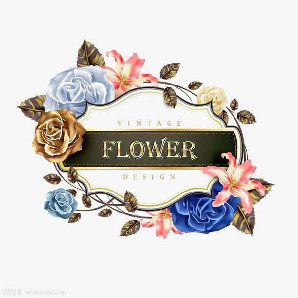 玫瑰花边框免抠