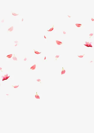 花瓣漂浮元素免抠