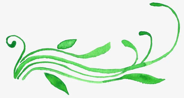 绿色藤蔓植物免抠