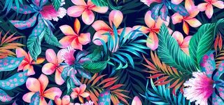 花卉背景图高清