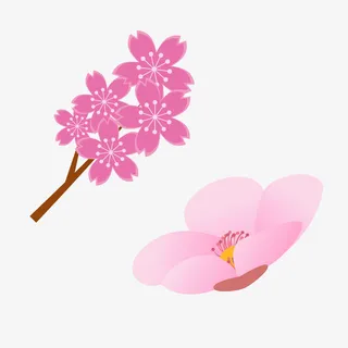 创意树枝粉红色花朵春季樱花桃花免抠