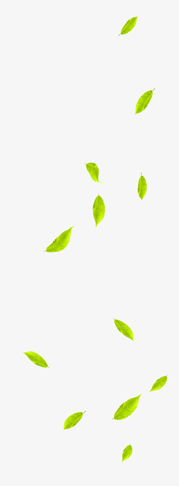 绿色清新树叶漂浮素材免抠