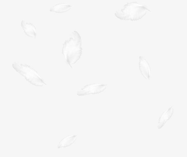 飞舞白色羽毛免抠