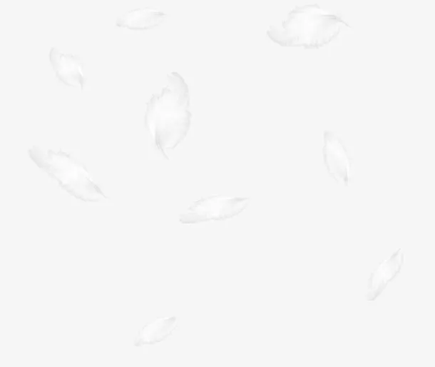 飞舞白色羽毛免抠