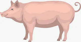 粉色卡通家猪免抠