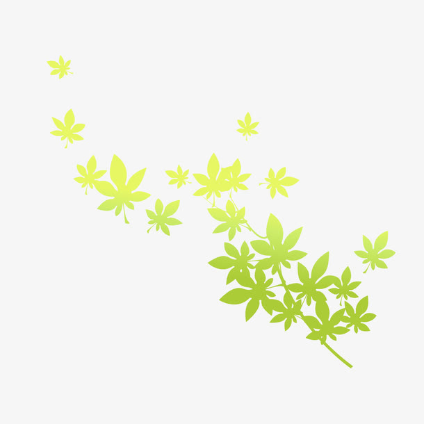 淡绿色树枝素材免抠