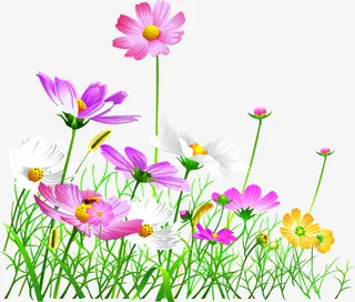 精美春天郊外花朵免抠