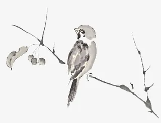 树枝上的小鸟免抠