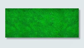 清新绿色草坪高清